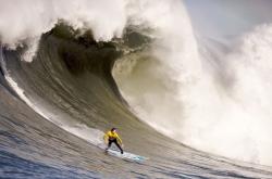 AYXapp下载-跨界风暴，当黄蜂终结魔术，班凯罗在英超赛场接管比赛