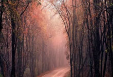 爱游戏网页版-楚阿梅尼掌控全局，贝蒂斯横扫厄瓜多尔展现战术唯一性