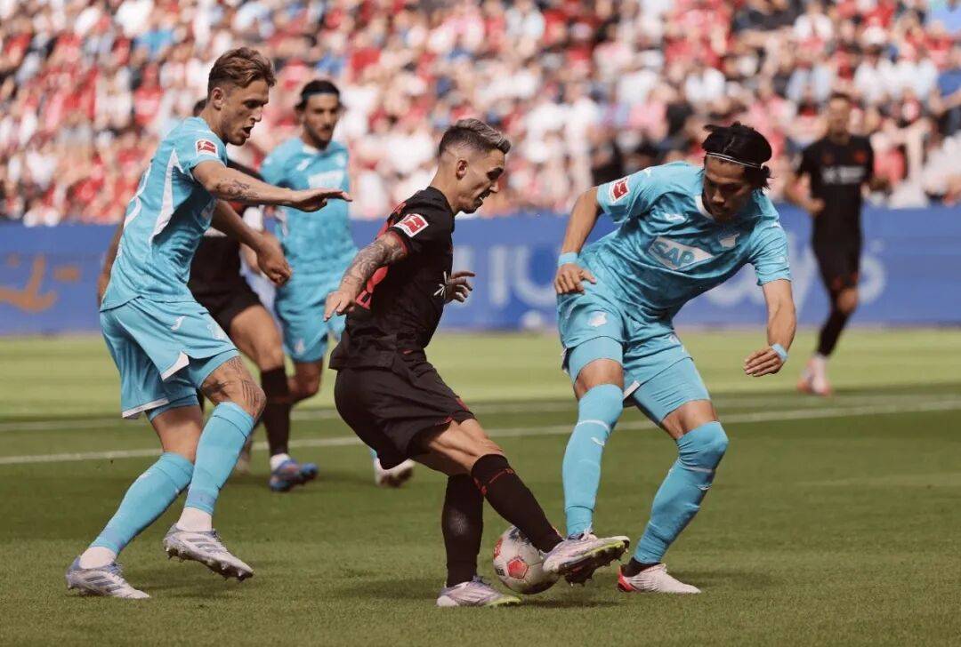 包含霍芬海姆客场不敌强敌，遭遇失利的词条