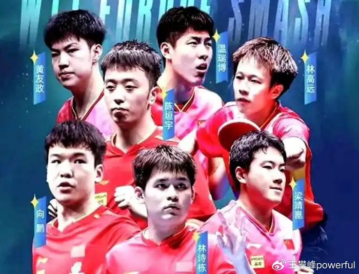 关于瑞典队力克韩国队，梁靖崑带队取胜的信息