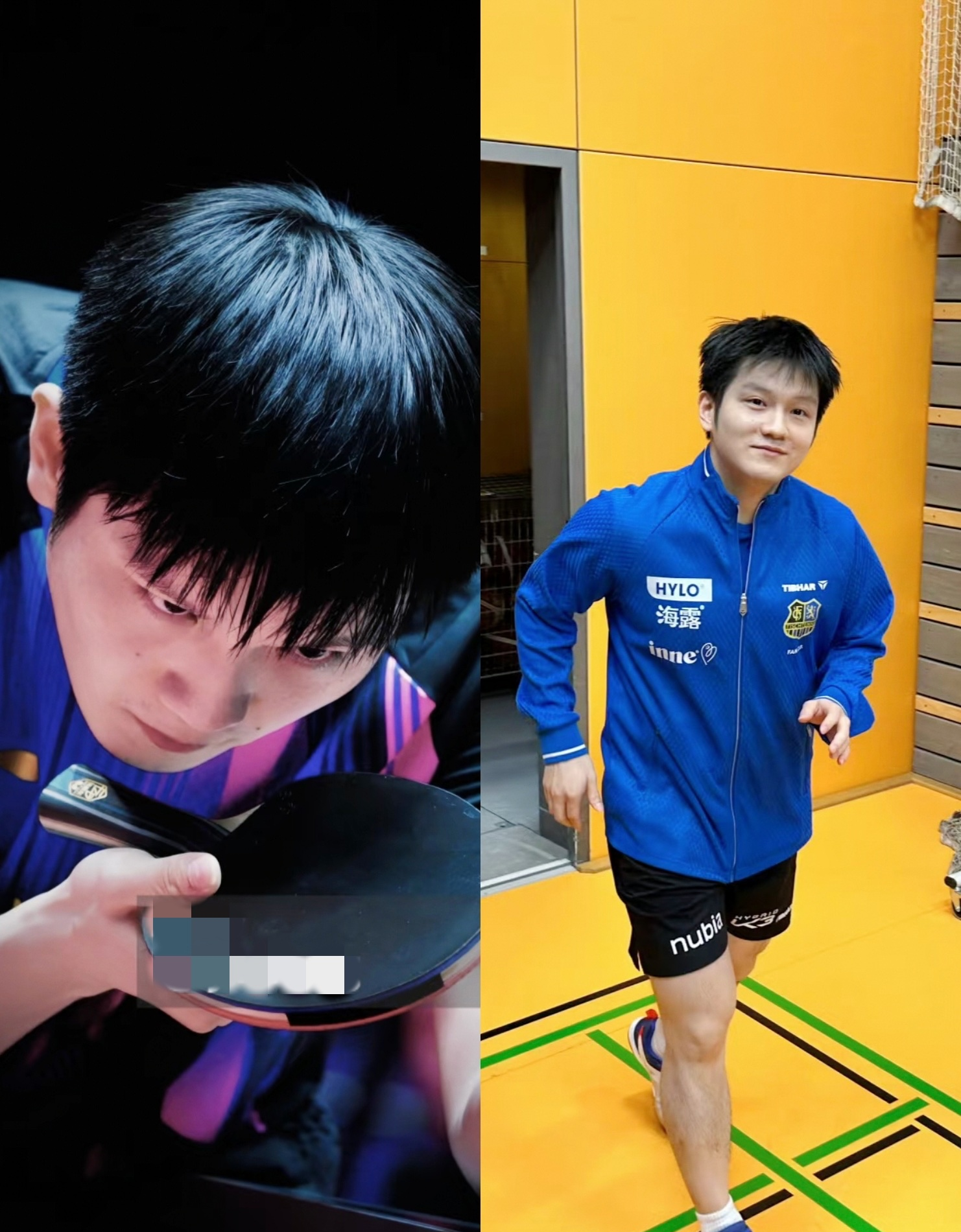 波兰队横扫奥地利队,樊振东惊艳四座的简单介绍 波兰队横扫奥地利队,樊振东惊艳四座的简单介绍