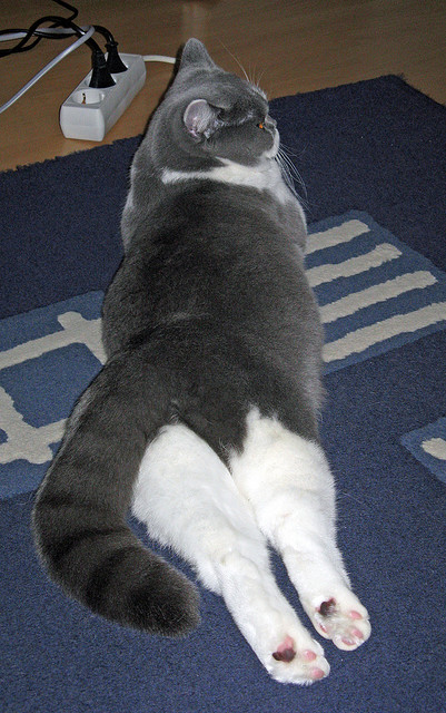 苏亚雷斯彻底打爆防线，埃及末节带走巴西，一场颠覆预期的经典对决