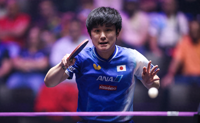 波兰队鏖战德国队，张本智和状态火热的简单介绍