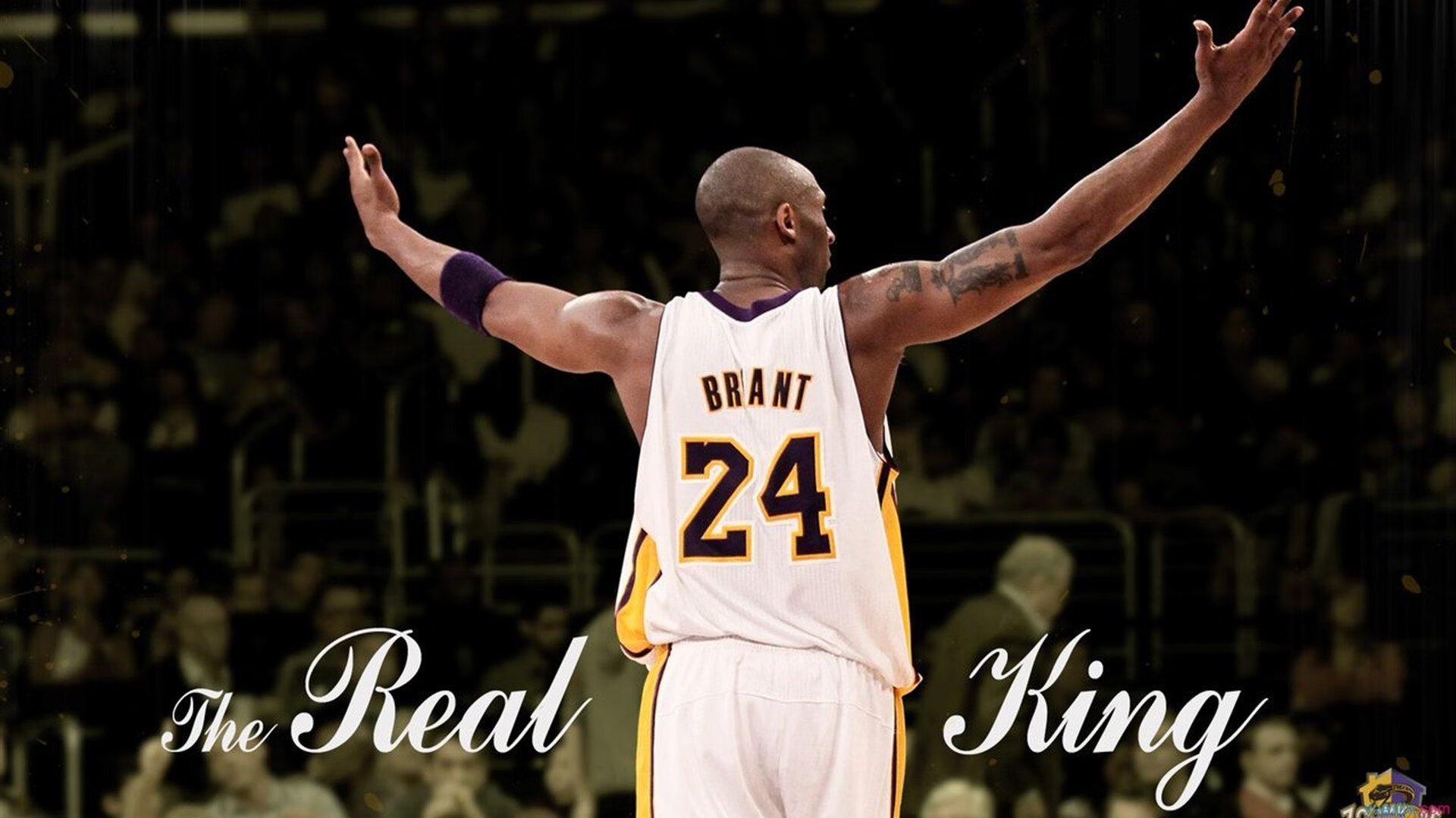 东决关键战之夜，德罗赞点燃赛场，孤胆英雄的火焰与回响